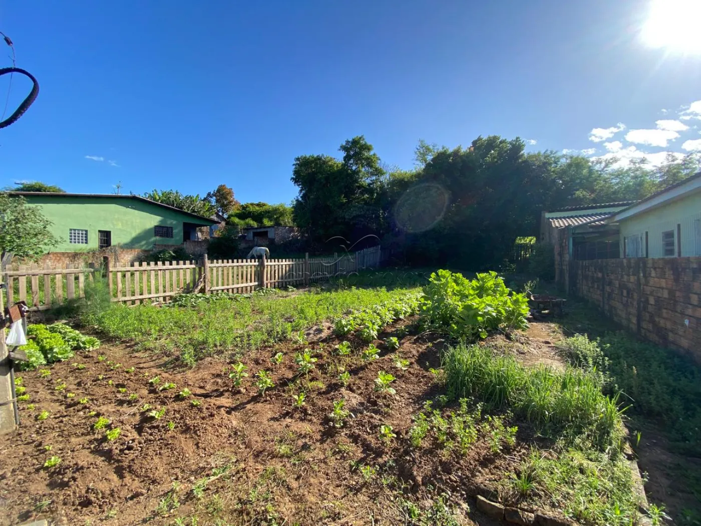 Comprar Terreno / Padrão em Charqueadas R$ 85.000,00 - Foto 4