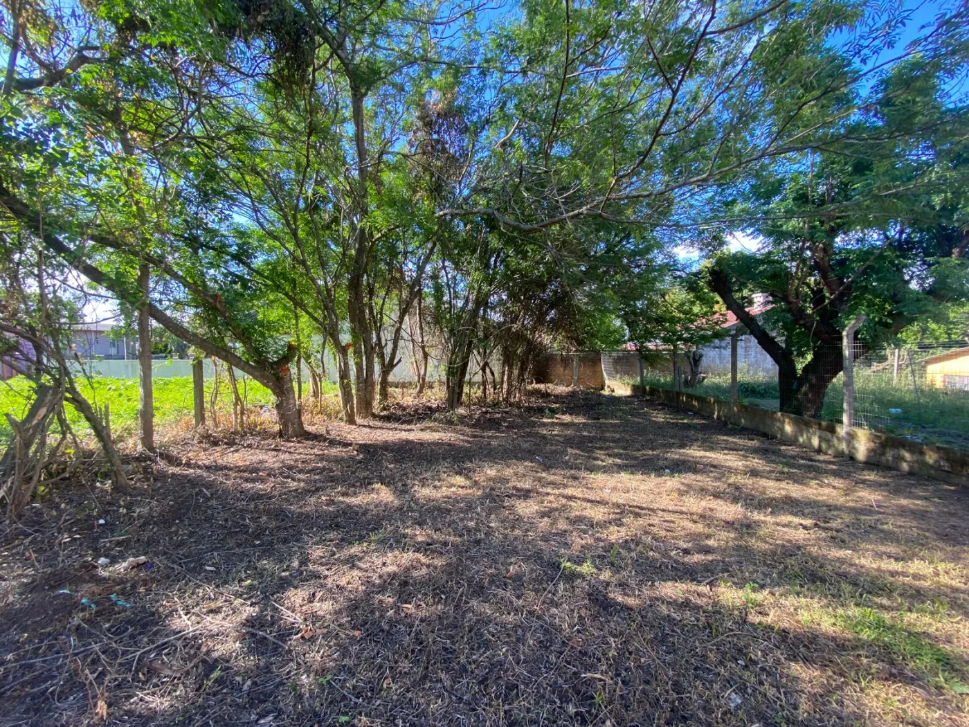 Comprar Terreno / Padrão em Charqueadas R$ 149.900,00 - Foto 9