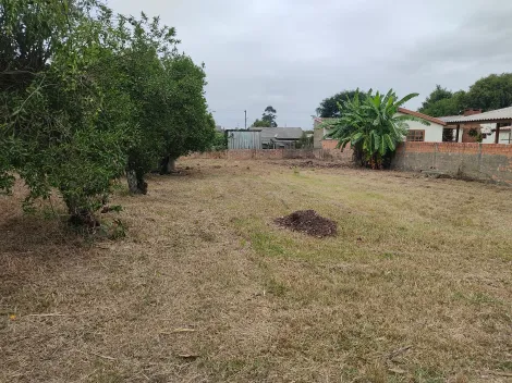 imagem 3 - Terreno Rua Castelo Branco - 280 - Santo Antonio - Charqueadas/RS imagem 3 - Terreno Rua Castelo Branco - 280 - Santo Antonio - Charqueadas/RS