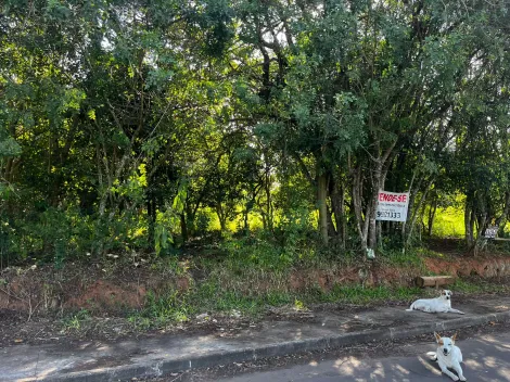 imagem 2 - Terreno Rua Olavo Porto - s/n - Zona Sul - Charqueadas/RS imagem 2 - Terreno Rua Olavo Porto - s/n - Zona Sul - Charqueadas/RS