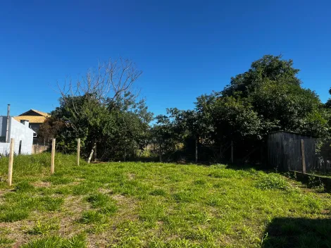 imagem 4 - Terreno Rua João Guerreiro de Souza - s/n - Jd. Nossa Senhora da Conceição - Charqueadas/RS imagem 4 - Terreno Rua João Guerreiro de Souza - s/n - Jd. Nossa Senhora da Conceição - Charqueadas/RS